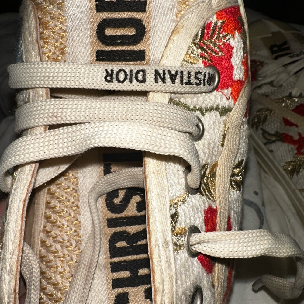 Christian Dior Multicolor Sneakers
